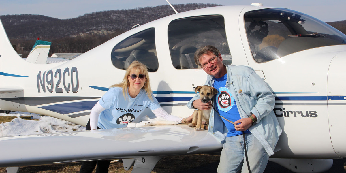 Flying Fur Animal Rescue  Saving Animals by Air Transport